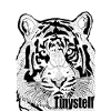 Tiger T shirt