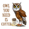 Owl You Need is Coffee