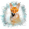 fuchs ,graffiti, peinture,fuchs,aquarelle