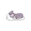 Official sleepshirt Schnauzer