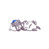 Official sleepshirt Schnauzer