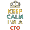 keep calm im a cto