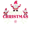 Merry Cristmas gnomes
