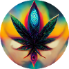 Cannaflower
