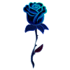 Blue Plant Rose Flower