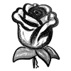 Fleur de rose gris