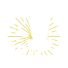 Disc Golf Disc Golfer