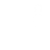Ananas Herzschlag