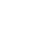 Schwerin coordinates