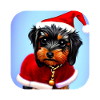 Yorkshire Terrier Chiot