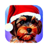 Yorkshire Terrier Chiot