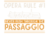 Opera singer, voice, opera