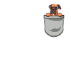 Propriétaire de chien boxeur allemand
