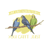 Budgerigar owner budgerigar gift