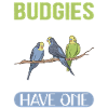 Budgerigar owner | Budgerigars Gift