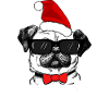 Merry Christmas, Christmas.