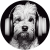 Hund DJ Kopfhörer