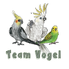 Team Vogel