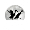 Indian Running Duck Moon Duck