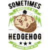 Hedgehog Gift Stacheligel