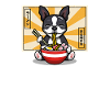 Boston Terrier