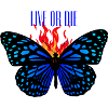 LIVE OR DIE