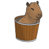Capybara chill in bucket