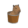 Spirit animal Capybara bucket