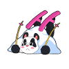 Panda Skier Ski