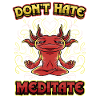 Don't Hate Meditate Kundalini Yoga