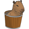 Mème Capybara
