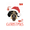 German Wirehair Merry Christmas