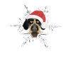 German Wirehair Merry Christmas