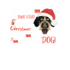 German Wirehair Joyeux Noël
