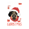 German Wirehair Merry Christmas