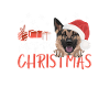 Berger allemand Joyeux Noël