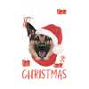 German Shepherd Merry Christmas