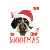 German Wirehair Joyeux Noël