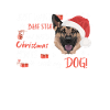 Berger allemand Joyeux Noël