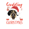 German Wirehair Joyeux Noël