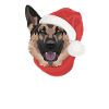 German Shepherd Merry Christmas