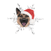 Berger allemand Joyeux Noël
