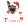 Deutscher Schäferhund Weihnachtsmarkt