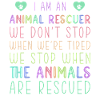 Dog adopts animal welfare