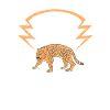 Wilderness Jaguar Cheetah Animal Lovers
