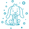 small cuddly dog