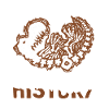 Dinosaur Adult dinosaur