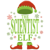 Scientist Christmas Elf