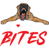 Malinois Belgian Shepherd Mechelaar Dog