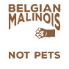 Malinois Belgian Shepherd Mechelaar Dog